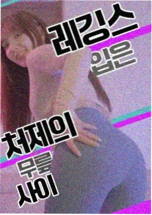 灯火可亲 治愈生活剧在线观看免费完整版